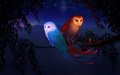 Owl-night-birds-branch-1800x2880.jpg